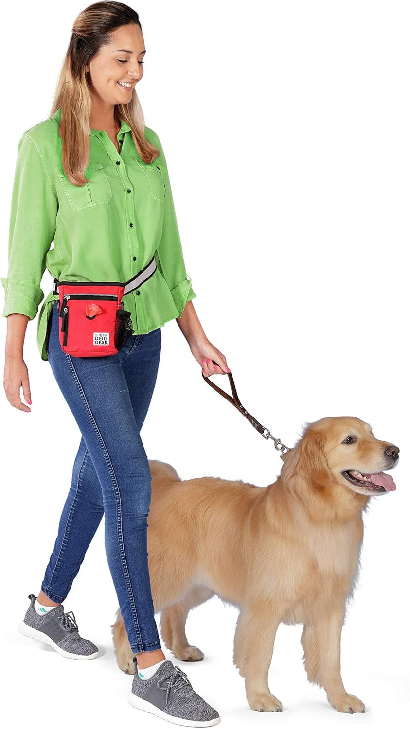 , Small Dog Walking Bag, Day or Night Reflective, 6 by 7 Inches