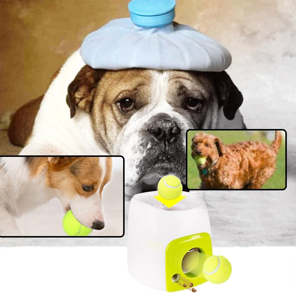 Automatic Ball Launcher,Food Reward Machine,Pet Leaky Food Device,Dog Ball Thrower,Reward Machiner with 2Pcs Tennis,Treat Dispenser,For Small and Medium Dogs
