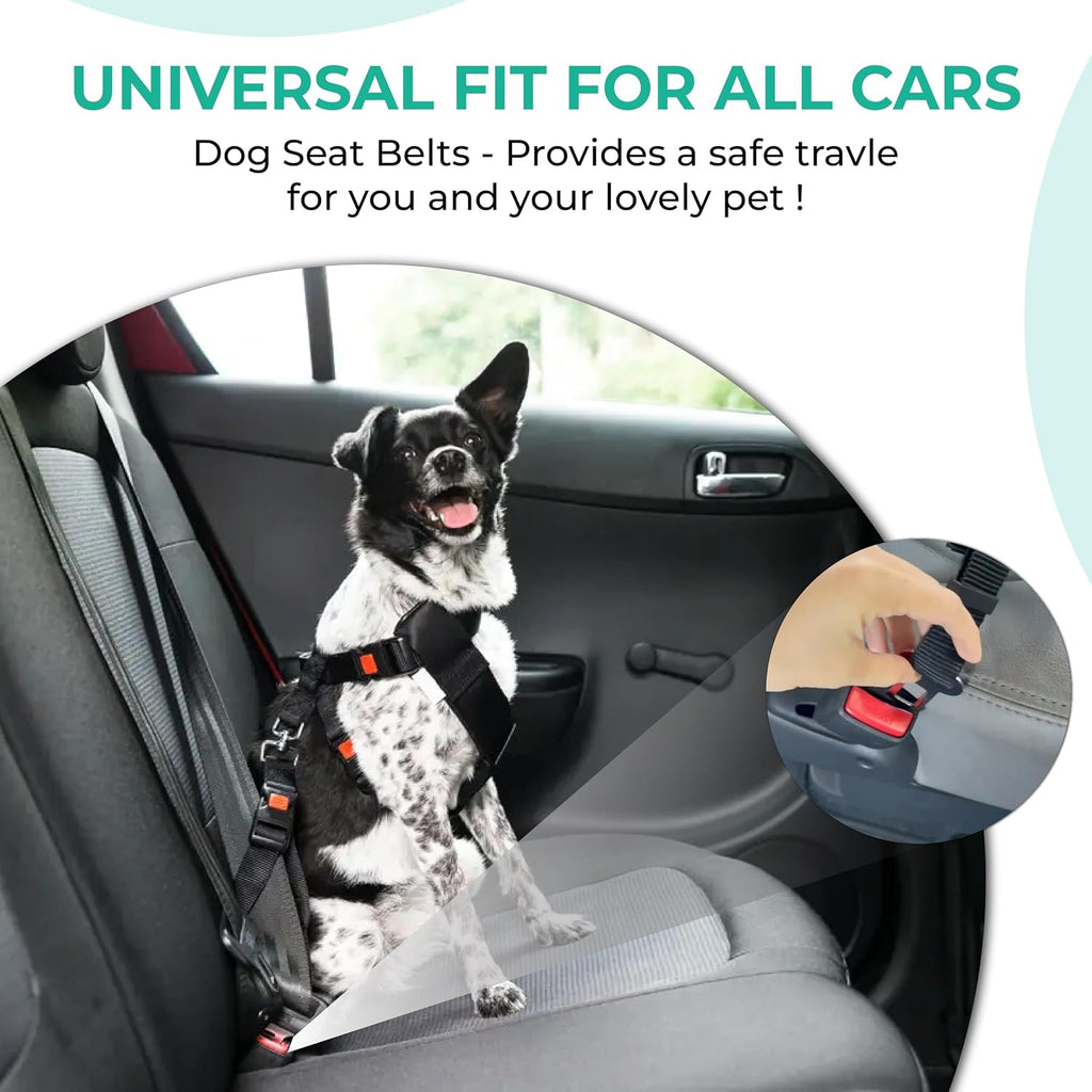 2Pcs Dog Seat Belts for Cars UK with Collapsible Water Bowl, Adjustable Dog Car Seat Belt with 360° Swivel Attachment & Anti-Impact Elastic Bungee, Safe Dog Seatbelt for Travel