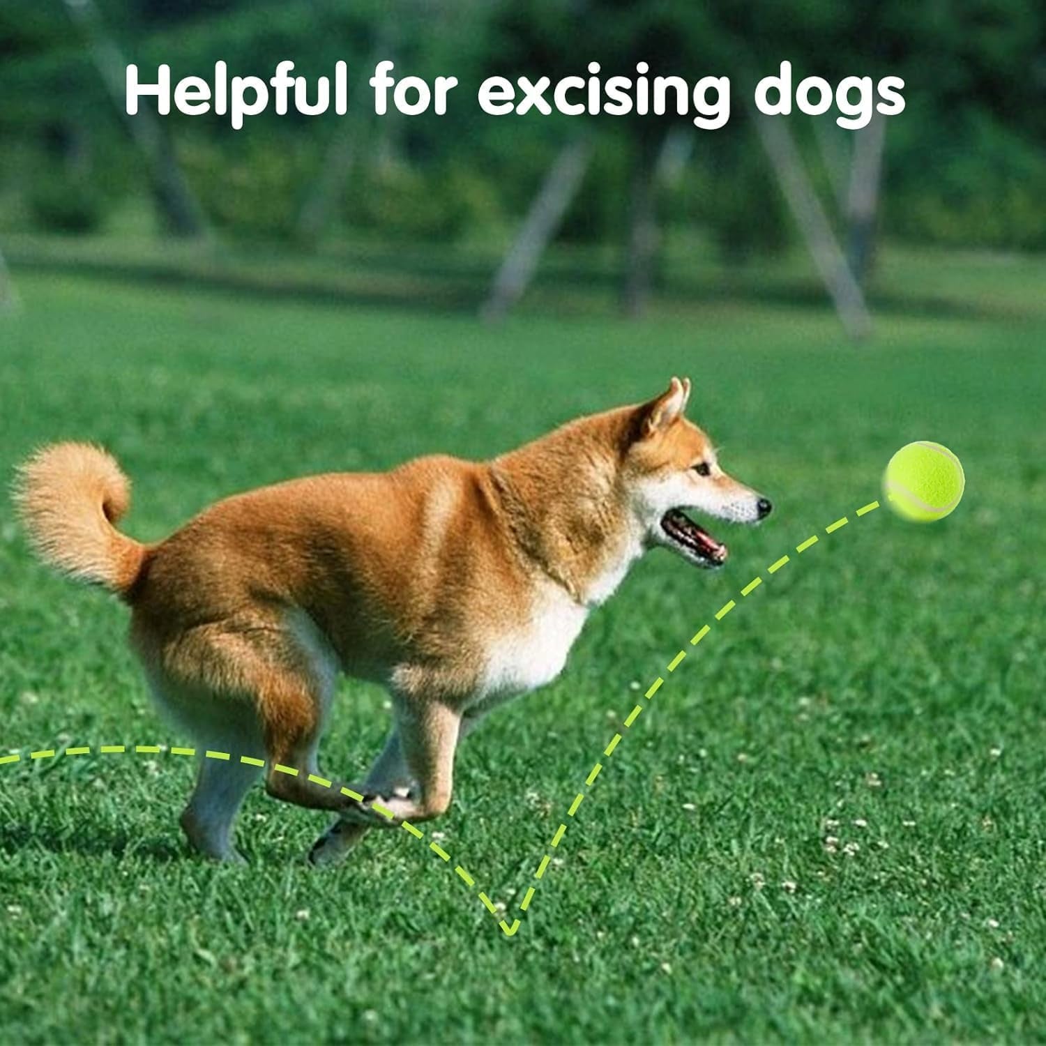 6 Pack Mini Tennis Balls for Pet Playing Fecth, 2 Inch Dogs Training Tennis Balls for Small Size Dogs, Interactive Dog Playing Balls Fits 2 Inch Automatic Dog Ball Launcher