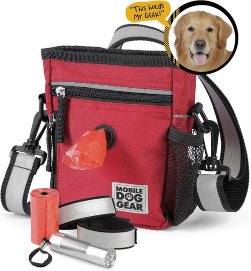 , Small Dog Walking Bag, Day or Night Reflective, 6 by 7 Inches