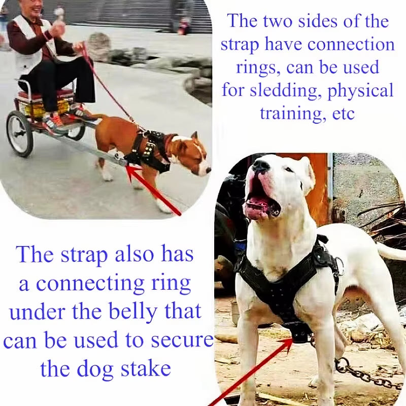 Dog Harness for Large Dog,Pit Bull Dog Harness Large Dog Collar Wholesale Leash Dog Vest Collar Fashion Pet Products Accessories