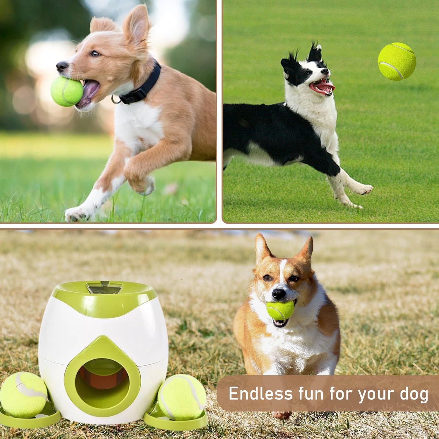Automatic Dog Ball Launcher,Automatic Dog Ball Reward,Dog Food Reward Machine Interactive Pet Toy Smart Feeder Dog Ball Rolling Machine for Cats,Dogs(Green)
