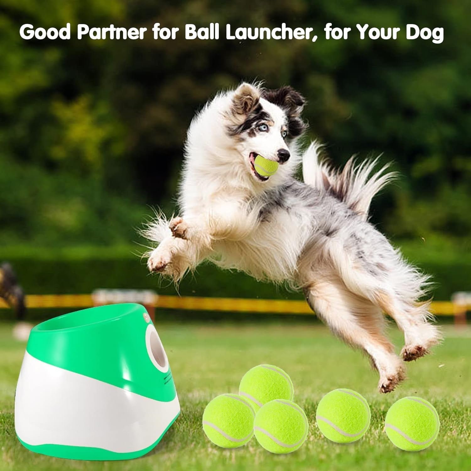 6 Pack Mini Tennis Balls for Pet Playing Fecth, 2 Inch Dogs Training Tennis Balls for Small Size Dogs, Interactive Dog Playing Balls Fits 2 Inch Automatic Dog Ball Launcher