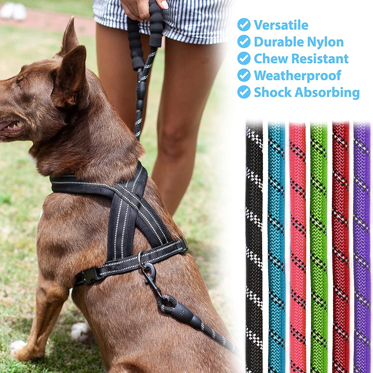 Dog Lead - Durable Strong Chew Resistant Slip Lead Nylon Rope Padded Handle Mountain Climbing Harness Pet Puppy Training Slipknot Leash for Walking [1/2 Inch 1.2Cm Thick] (Blue 5Ft)…