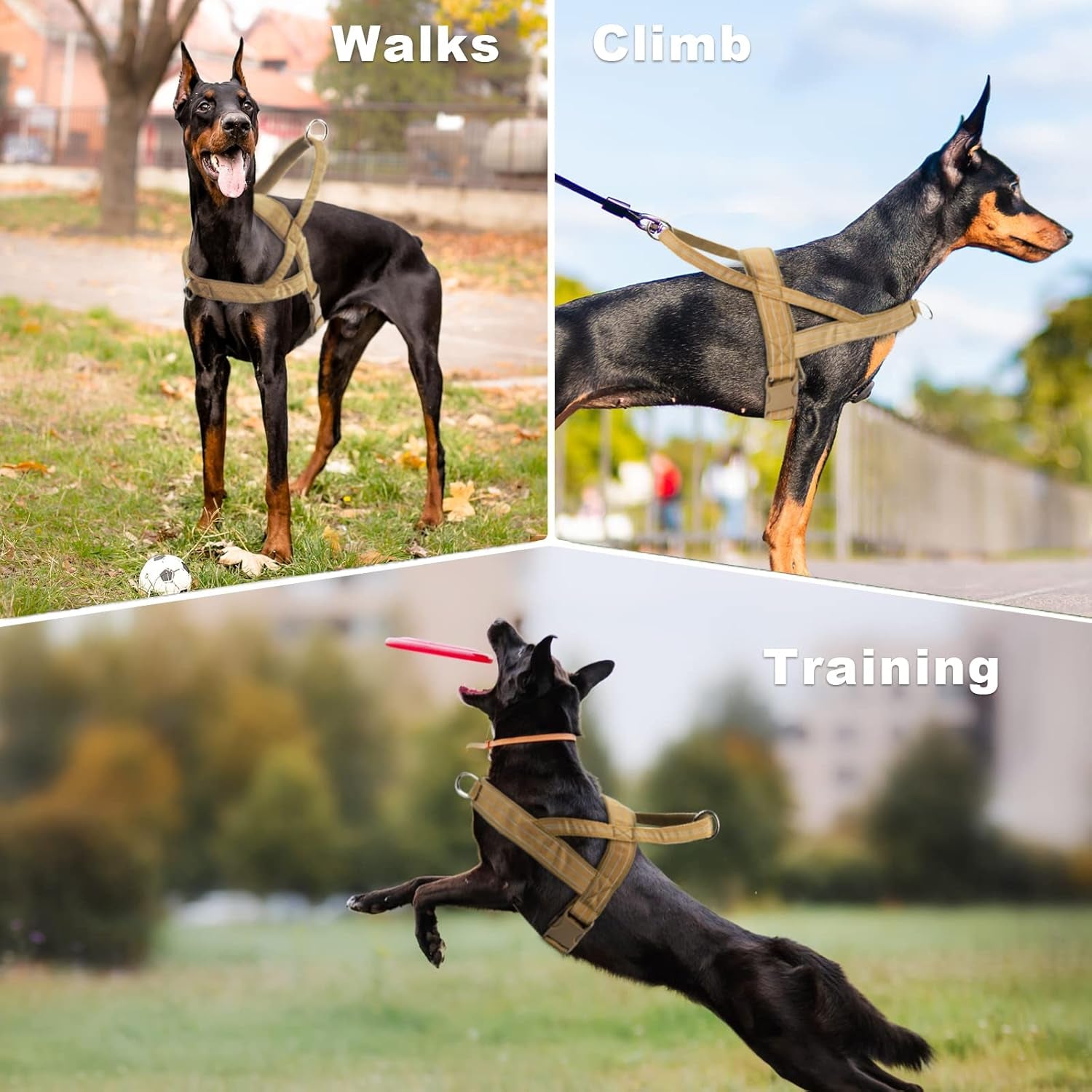 Dog Harness, Anti-Pull Harness, Reflective Dog Harness for Medium Large Dogs, Adjustable Dog Harness with Soft Padded, Breathable Chest Harness for Walking, Running (M)
