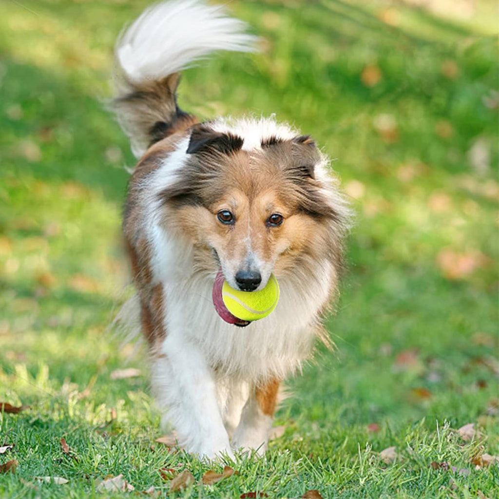6 Pack Mini Tennis Balls for Pet Playing Fecth, 2 Inch Dogs Training Tennis Balls for Small Size Dogs, Interactive Dog Playing Balls Fits 2 Inch Automatic Dog Ball Launcher