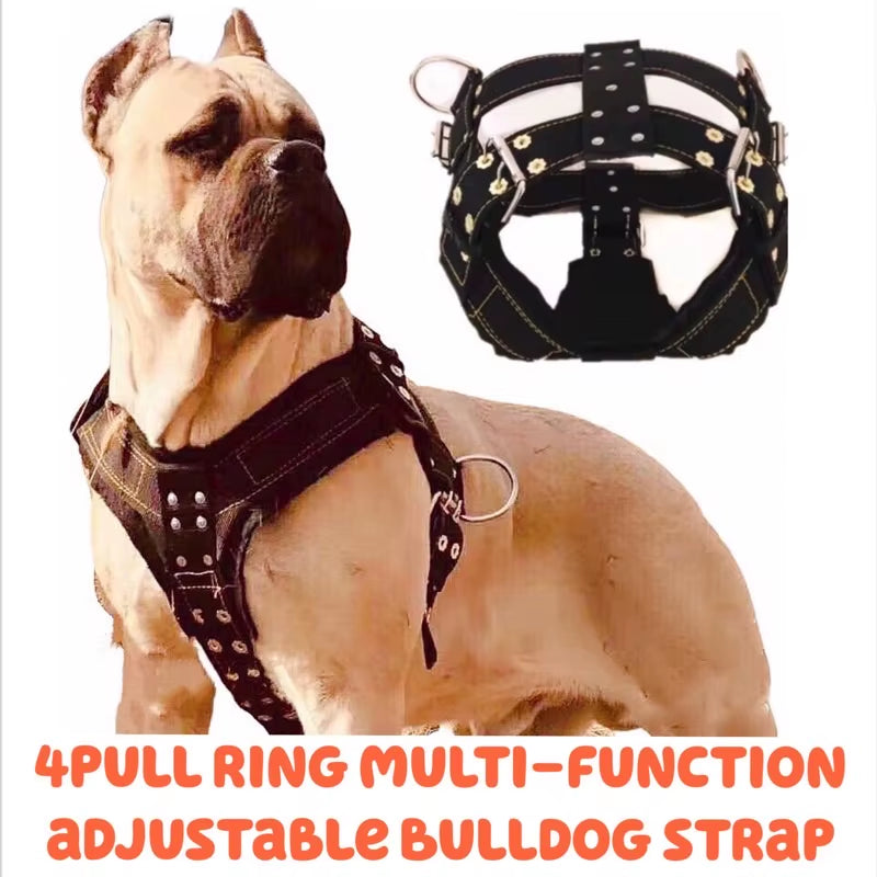 Dog Harness for Large Dog,Pit Bull Dog Harness Large Dog Collar Wholesale Leash Dog Vest Collar Fashion Pet Products Accessories