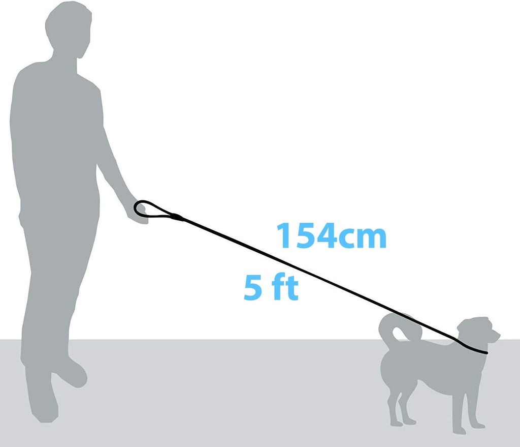 Dog Lead - Durable Strong Chew Resistant Slip Lead Nylon Rope Padded Handle Mountain Climbing Harness Pet Puppy Training Slipknot Leash for Walking [1/2 Inch 1.2Cm Thick] (Blue 5Ft)…