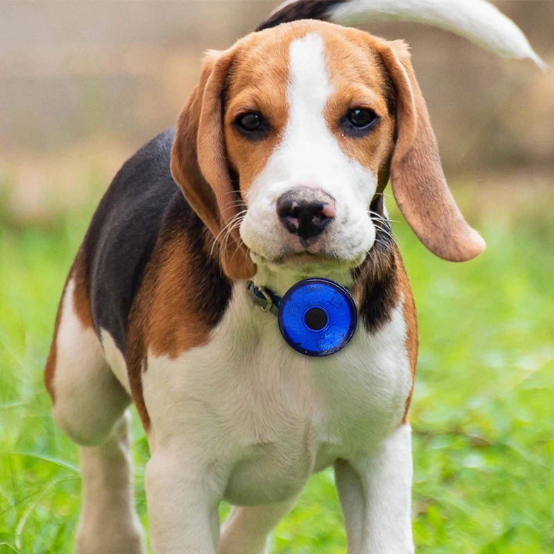 LED Pet Dog Cat Collar Pendant Portable Pet Safety Led Light USB Rechargeable Outdoor Night Walking Dog Collar Accessories