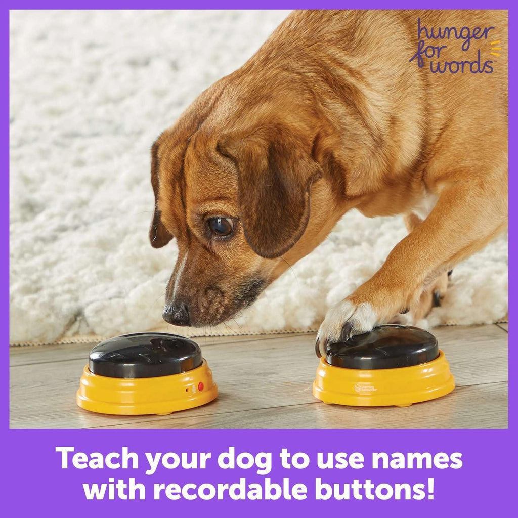 Talking Pet Next Words Names Button Set (3 Pieces)
