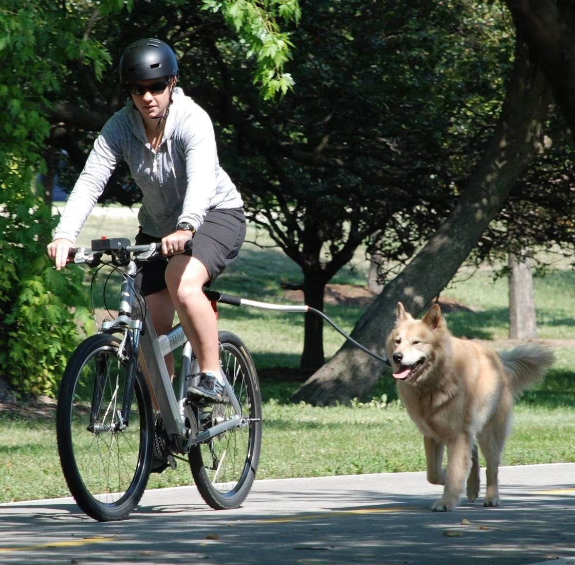 Bicycle Walking Dog Leash, Dog Leash, Removable Elastic Dog Bicycle Leash, Metal Leash, Cycling Liugo